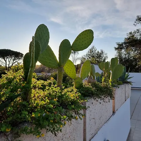 Villa 73059 Ugento